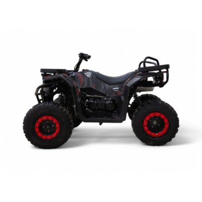 Квадроцикл Motax Grizlik W200