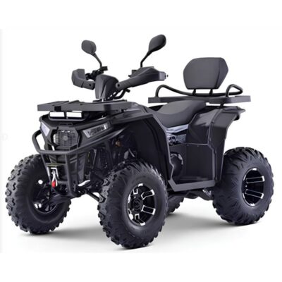 Квадроцикл Motax Grizlik W200 Lux